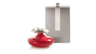 FLOWER FRAGRANCE DIFFUSER RED