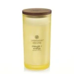 LARGE TUMBLER 355gr PINEAPPLE COCONUT