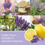 MEDIUM SIGN LEMON LAVENDER 368gr