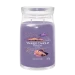 YC SIGNATURE LARGE JAR STARGAZING