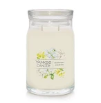 LARGE SIGN MIDNIGHT JASMINE 567gr