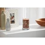 LARGE TUMBLER PRALINA AND BIRCH 567gr