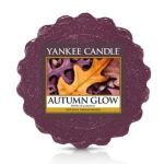 Autumn Glow wax melt