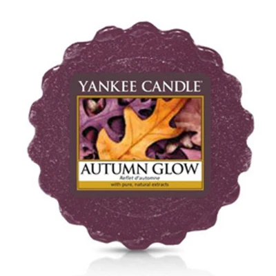 Autumn Glow wax melt