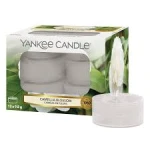 TEALIGHTS CAMELIA BLOSSOM