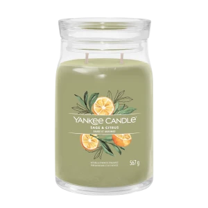 YC SIGNATURE LARGE JAR SAGE & CITRUS
