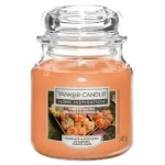 HI MEDIUM JAR PUMPKIN HARVEST