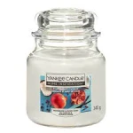 HI MEDIUM JAR POMEGRANATE COCONUT