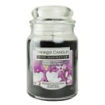 HI LARGE JAR MIDNIGHT MAGNOLIA