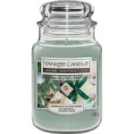HI LARGE JAR WRAPPING PAPER PINE