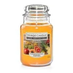 HI LARGE JAR EXOTIC FRUITS