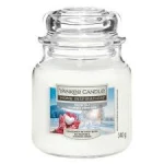 HI MEDIUM JAR SNOW DAY