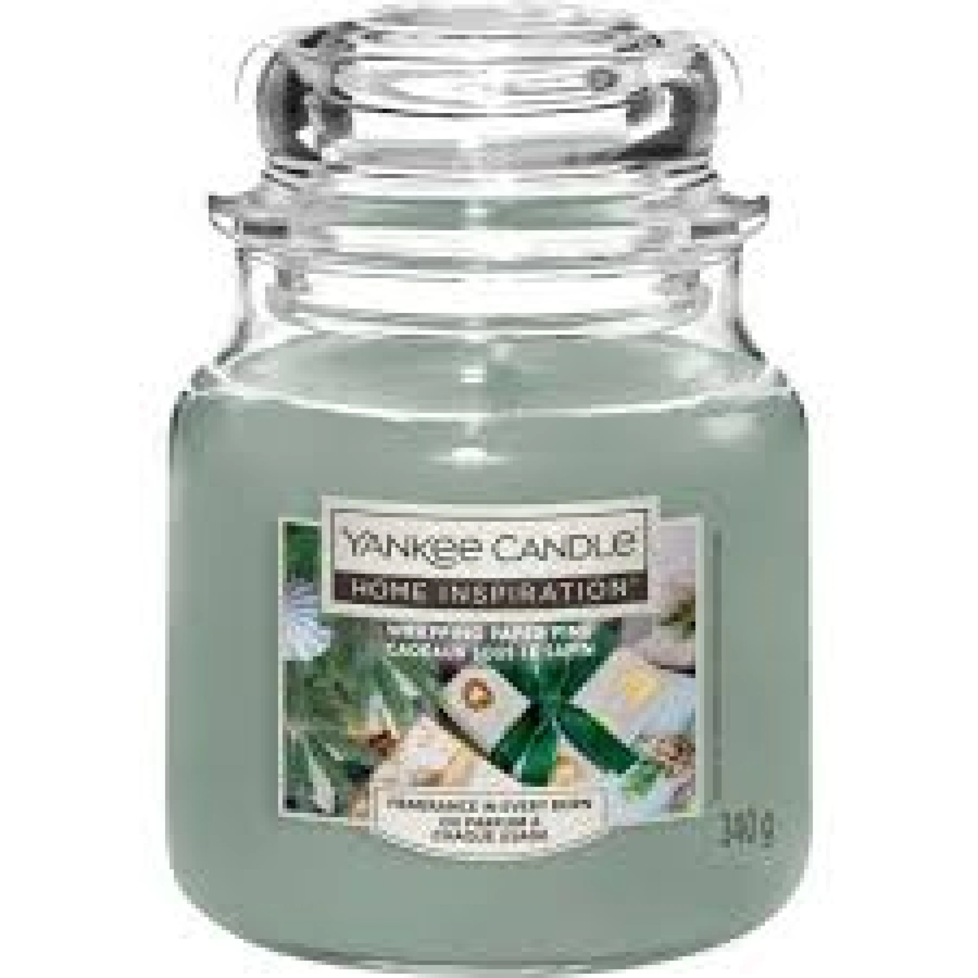 HI MEDIUM JAR WRAPPING PAPER PINE