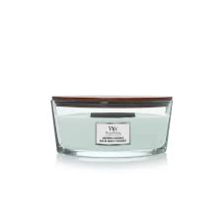 WW ELLIPSE SAGEWOOD & SEAGRASS