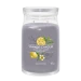 YC SIGNATURE LARGE JAR BLACK TEA & LEMON