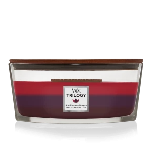 WW ELLIPSE TRILOGY SUN RIPENED BERRIES