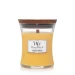 WW MEDIUM HOURGLASS SEASIDE MIMOSA