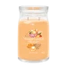 YC SIGNATURE LARGE JAR MANGO ICE CREAM