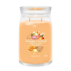 YC SIGNATURE LARGE JAR MANGO ICE CREAM