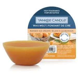 YC WAX MELT SINGLE MANGO ICE CREAM