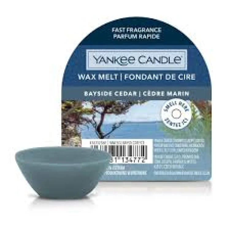 YC WAX MELT SINGLE BAYSIDE CEDAR