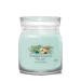 YC SIGNATURE MEDIUM JAR ALOE/AGAVE