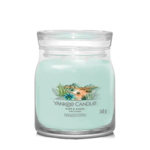 YC SIGNATURE MEDIUM JAR ALOE/AGAVE