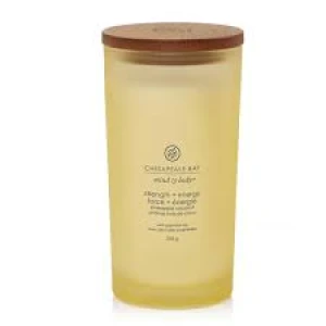 CBC LARGE JAR STRENGTH & ENERGY