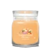 YC SIGNATURE MEDIUM JAR MANGO ICE CREAM